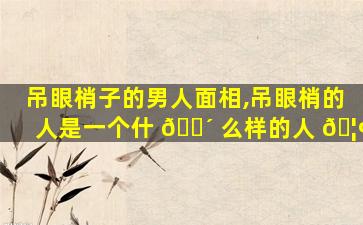 吊眼梢子的男人面相,吊眼梢的人是一个什 🌴 么样的人 🦢